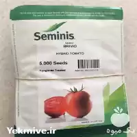 قیمت خرید بذر گوجه فرنگی بریویو در همدان در گروه خرید و فروش بذر گوجه در یکمیوه