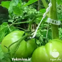 فروش 	گیره های نگهدارنده بوته در تهران در گروه خرید و فروش تجهیزات گلخانه در یکمیوه