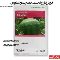 قیمت خرید پخش بذر هندوانه برند در گروه خرید و فروش بذر هندوانه در یکمیوه