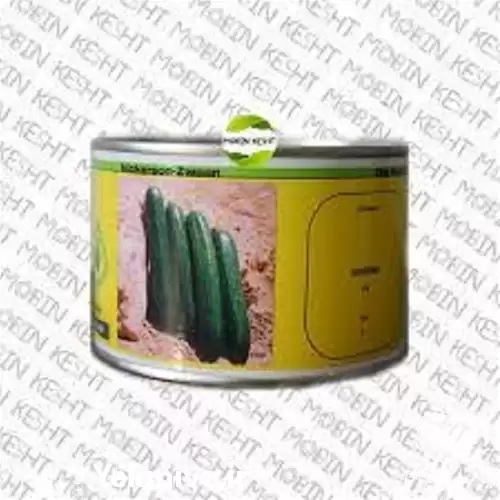 قیمت خرید بذر خیار سوپرینا در گروه خرید و فروش بذر خیار در یکمیوه -عکس1