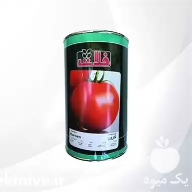 فروش بذر گوجه فرنگی Karoon فلات در هرمز در گروه خرید و فروش بذر گوجه در یکمیوه -عکس1