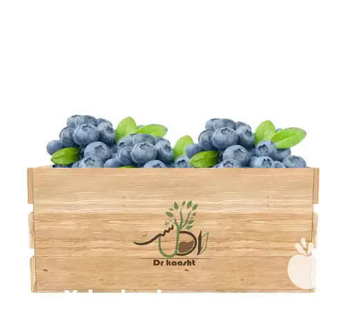 قیمت خرید عمده نهال بلوبری دوک در ارومیه در گروه خرید و فروش نهال بلوبری در یکمیوه -عکس1