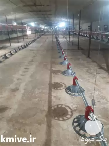 قیمت خرید آبخوری دانخوری بشقابی اتوماتیک در شیراز در گروه تجهیزات مرغداری در یکمیوه -عکس1