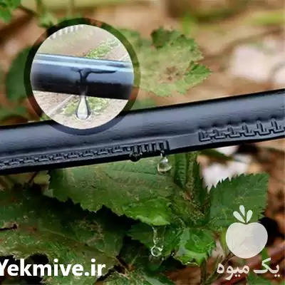 فروش نوار تیپ آبیاری قطره ای در تهران در گروه خرید و فروش نوار تیپ در یکمیوه -عکس1