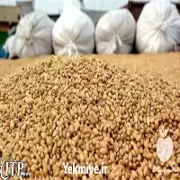 فروش آموزش کنسانتره نویسی تهیه دان در گروه خوراک دام و طیور در یکمیوه