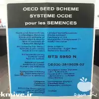 قیمت خرید انواع بذر چغندر آلمانی در گروه خرید و فروش بذر چغندر در یکمیوه