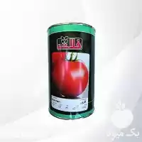 فروش بذر گوجه فرنگی Karoon فلات در هرمز در گروه خرید و فروش بذر گوجه در یکمیوه