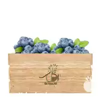 قیمت خرید عمده نهال بلوبری دوک در ارومیه در گروه خرید و فروش نهال بلوبری در یکمیوه