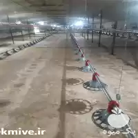 قیمت خرید آبخوری دانخوری بشقابی اتوماتیک در شیراز در گروه تجهیزات مرغداری در یکمیوه