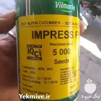 قیمت خرید ویژه انواع بذر خیار در گروه خرید و فروش بذر خیار در یکمیوه