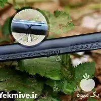 فروش نوار تیپ آبیاری قطره ای در تهران در گروه خرید و فروش نوار تیپ در یکمیوه