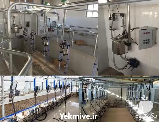 فروش دستگاه شیردوش دام در اهواز در گروه تجهیزات دامداری در یکمیوه -عکس1