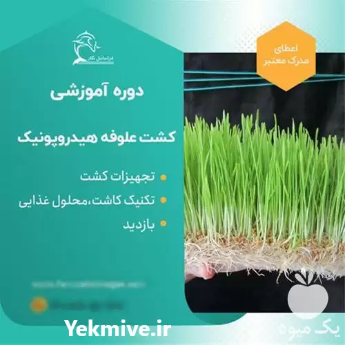 آموزش صفر تا صد راه اندازی در گروه دوره آموزش کشاورزی در یکمیوه -عکس1