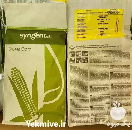 بذر ذرت شیرین در خرم‌ آباد در گروه خرید و فروش بذر ذرت در یکمیوه -عکس1