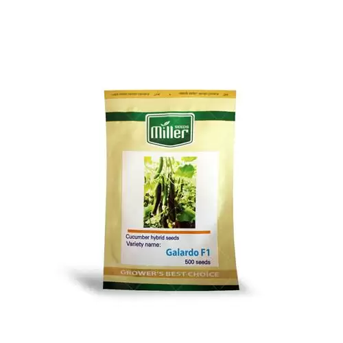 قیمت خرید بذر خیار گلخانه ای در خرم‌ آباد در گروه خرید و فروش بذر خیار در یکمیوه -عکس1