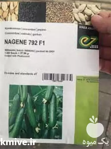 قیمت خرید بذر خیار ناگین در کرمان  در گروه خرید و فروش بذر خیار در یکمیوه -عکس1