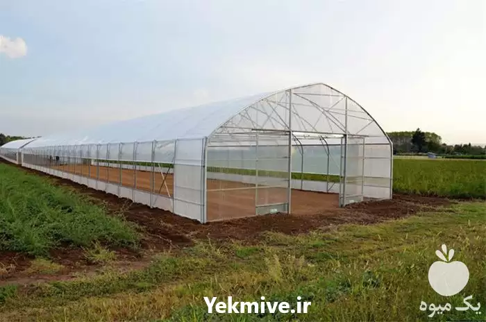 دوره آموزشی آشنایی با سازه گلخانه در گروه دوره آموزش کشاورزی در یکمیوه -عکس1