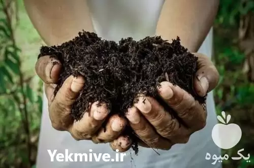 قیمت خرید 	کود گوشتی در تهران در گروه خرید و فروش انواع کود کشاورزی در یکمیوه -عکس1