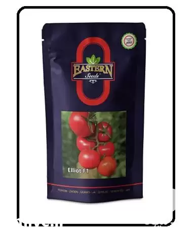 عرضه فروش بذر گوجه فرنگی گلخانه در تهران در گروه خرید و فروش بذر گوجه در یکمیوه -عکس1