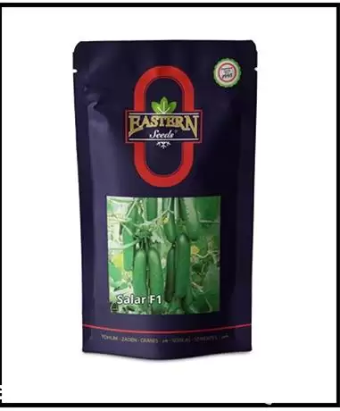 فروش بذر خیار گلخانه ای هیبرید در تهران در گروه خرید و فروش بذر خیار در یکمیوه -عکس1