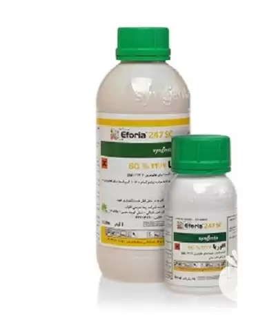 ایفوریا سم کشاورزی پرفروش سینجنتا در گروه خرید و فروش انواع سم در یکمیوه -عکس1