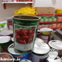 قیمت خرید بذر ترب قرمز گرد قیمت در هرمز در گروه خرید و فروش انواع بذر در یکمیوه