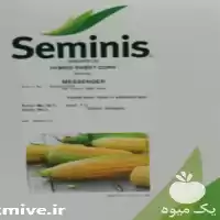 قیمت خرید بذر ذرت شیرین مسنجر در گروه خرید و فروش بذر ذرت در یکمیوه