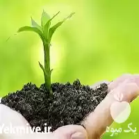 قیمت خرید کود تشکیل شده در تهران در گروه خرید و فروش انواع کود کشاورزی در یکمیوه