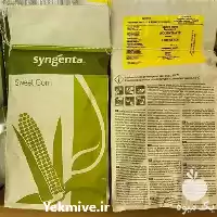 بذر ذرت شیرین در خرم‌ آباد در گروه خرید و فروش بذر ذرت در یکمیوه