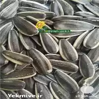 قیمت خرید تخمه کدو در گروه خرید و فروش انواع تخمه در یکمیوه