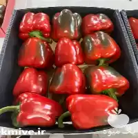 فروش فلفل دلمه رنگی در اصفهان در گروه خرید و فروش فلفل در یکمیوه