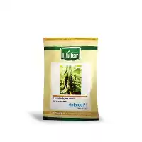 قیمت خرید بذر خیار گلخانه ای در خرم‌ آباد در گروه خرید و فروش بذر خیار در یکمیوه