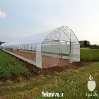 دوره آموزشی آشنایی با سازه گلخانه در گروه دوره آموزش کشاورزی در یکمیوه