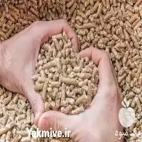 قیمت خرید 	دی کلسیم فسفات در گروه خرید و فروش کود فسفات در یکمیوه