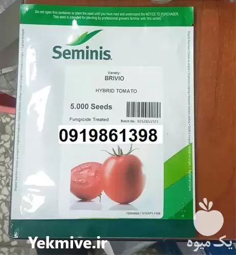 قیمت خرید بذر گوجه فرنگی بریویو در بوشهر در گروه خرید و فروش بذر گوجه در یکمیوه -عکس1