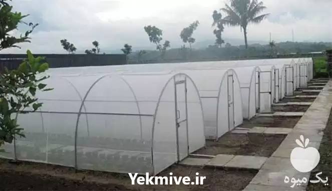 مشارکت در زمینه ساخت گلخانه در تهران در گروه سازنده در یکمیوه -عکس1
