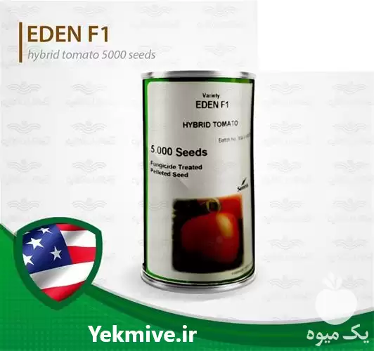 فروش بذر گوجه فرنگی زودرس ایدن در گروه خرید و فروش بذر گوجه در یکمیوه -عکس1