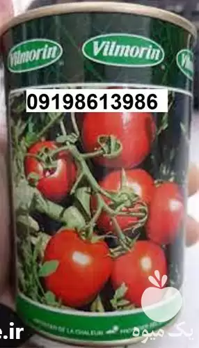 ارسال سراسری بذر گوجه فرنگی ویلمورین در اهواز در گروه خرید و فروش بذر گوجه در یکمیوه -عکس1