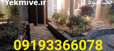 نصب سنگ لاشه تهران اجرای سنگ در شهریار در گروه سازنده در یکمیوه -عکس1