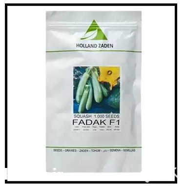 قیمت خرید بذر کدو فدک F 1 در تهران در گروه خرید و فروش بذر کدو در یکمیوه -عکس1