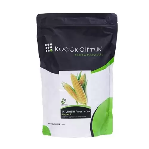 فروش بذر ذرت شایان F 1 در تهران در گروه خرید و فروش بذر ذرت در یکمیوه -عکس1