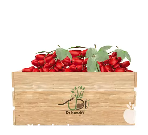 قیمت خرید عمده نهال زرشک پفکی در اردبیل در گروه خرید و فروش نهال زرشک در یکمیوه -عکس1