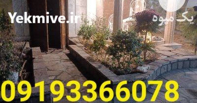 نصب سنگ لاشه در تهران فروش در گروه سازنده در یکمیوه -عکس2