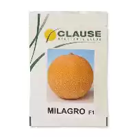 قیمت خرید عرضه بذر خربزه گالیا در شیراز در گروه خرید و فروش بذر خربزه در یکمیوه