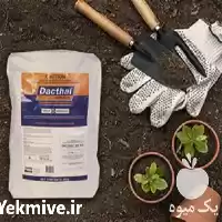 قیمت خرید قیمت علف کش داکتال در گروه خرید و فروش انواع سم در یکمیوه