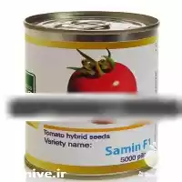 فروش بذر گوجه فرنگی ثمین در بوشهر در گروه خرید و فروش بذر گوجه در یکمیوه
