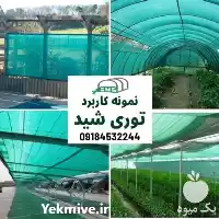 قیمت خرید 	توری شید سایبان سبز در تهران در گروه خرید و فروش توری گلخانه در یکمیوه