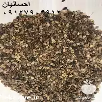 فروش کنجد سفید هندی و کنجد در تهران در گروه خرید و فروش دانه های روغنی در یکمیوه