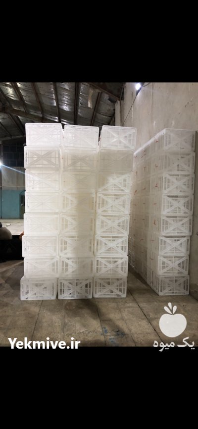 سبد حمال ٢٠ تا ٢٥ كيلويي ميوه و گوجه در تهران در گروه خرید و فروش انواع سبد در یکمیوه -عکس1