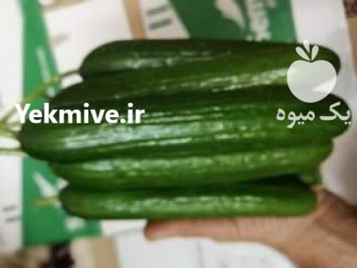 بذر مونزا در یزد در گروه خرید و فروش انواع بذر در یکمیوه -عکس2